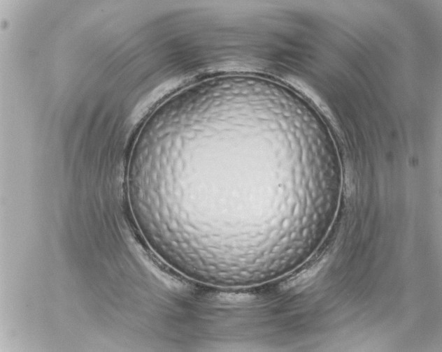 X0000057100437200510071941