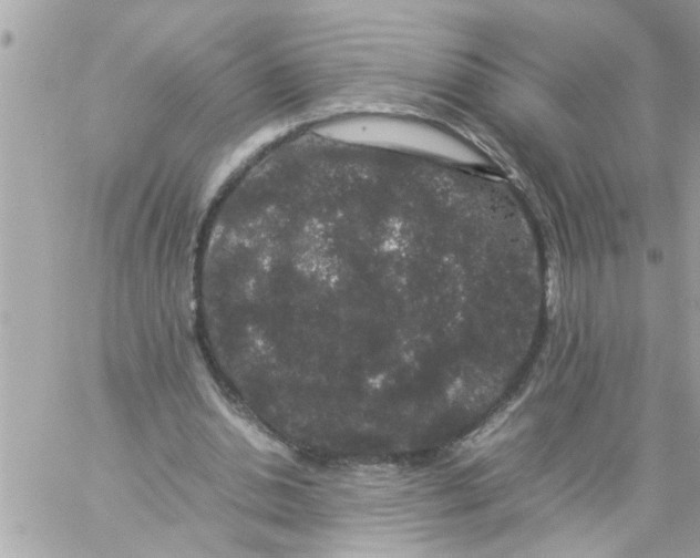 X0000057100438200510071941