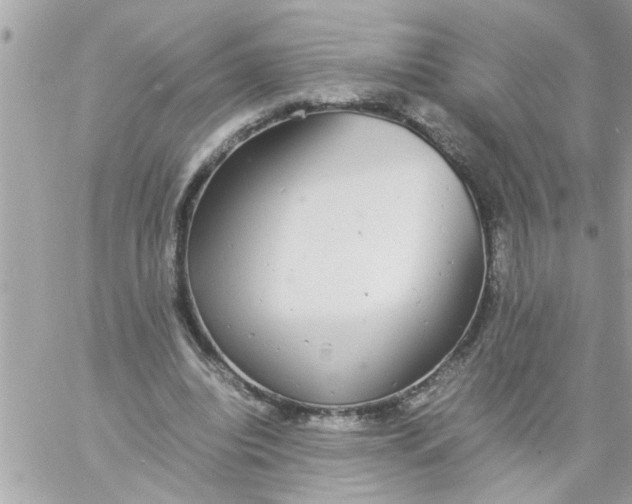 X0000057100440200510071941