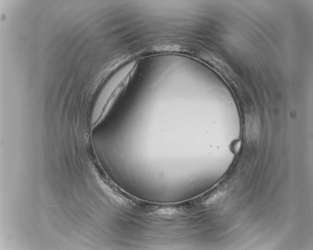 X0000057100441200510071941