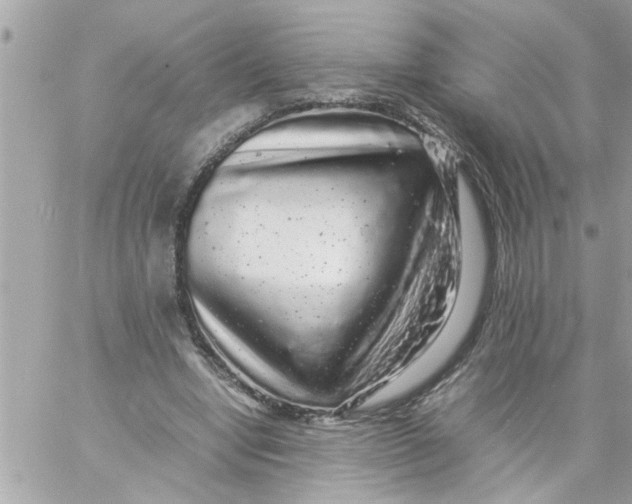 X0000057100442200510071941