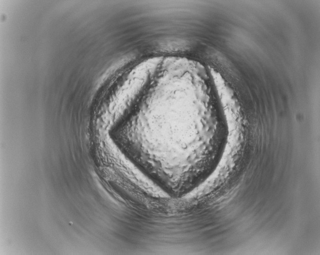 X0000057100443200510071941