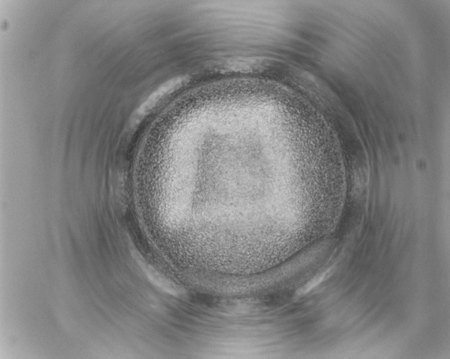 X0000057100444200510071941