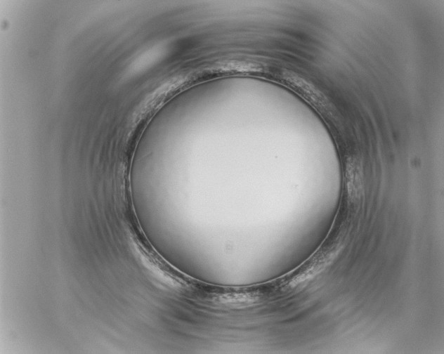 X0000057100445200510071941