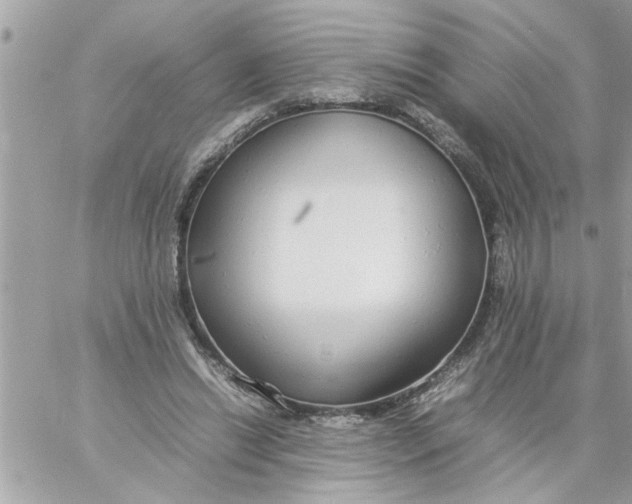 X0000057100446200510071941