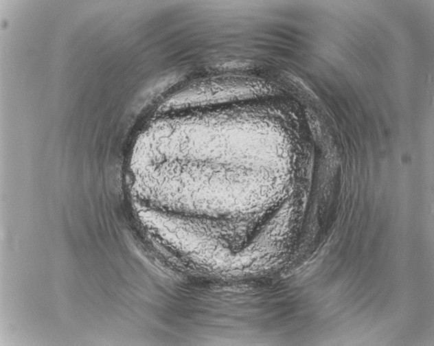 X0000057100447200510071941