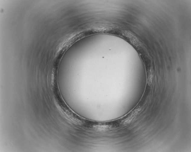 X0000057100448200510071941