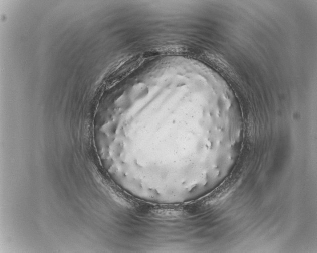 X0000057100449200510071941