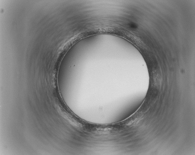 X0000057100450200510071941