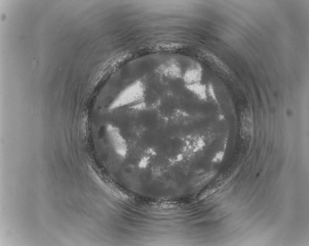 X0000057100451200510071941