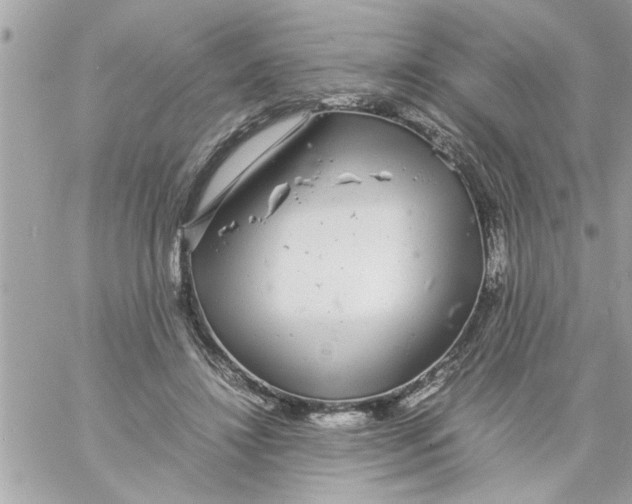 X0000057100452200510071941