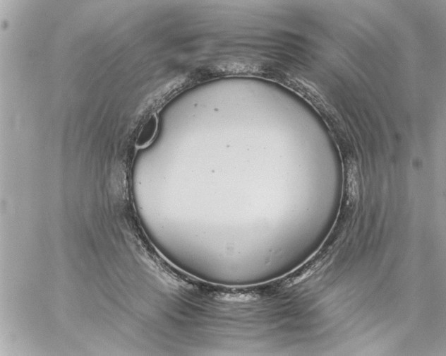 X0000057100453200510071941