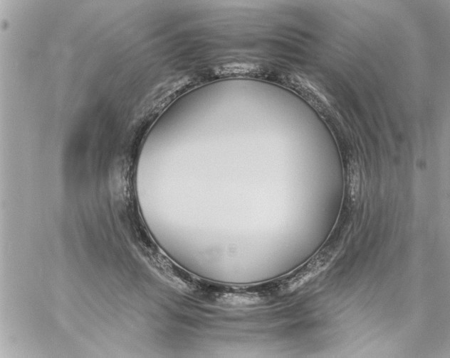 X0000057100455200510071941