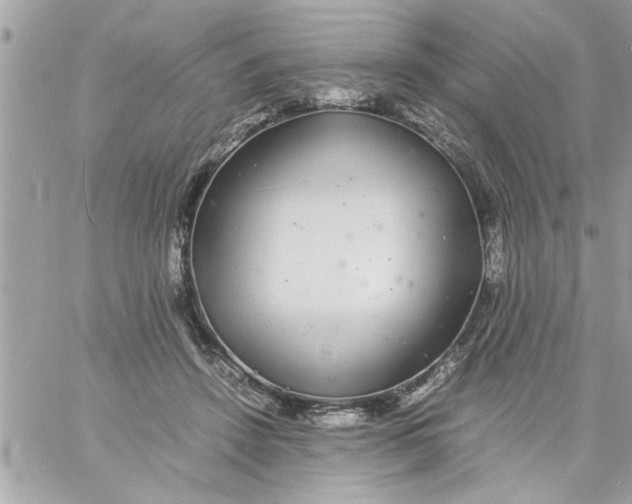 X0000057100456200510071941