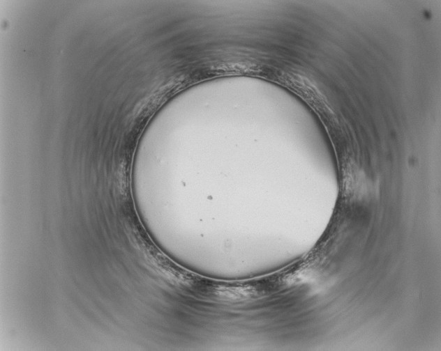 X0000057100457200510071941