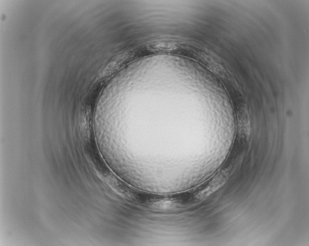 X0000057100460200510071941