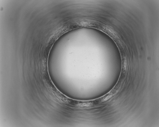 X0000057100461200510071941