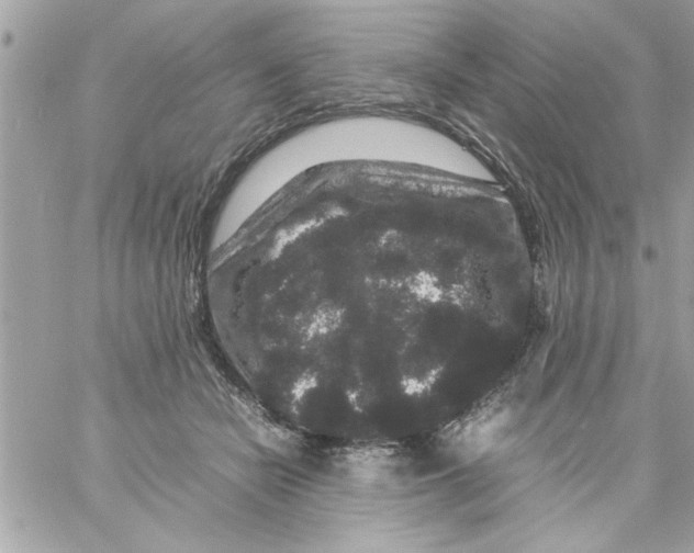 X0000057100462200510071941