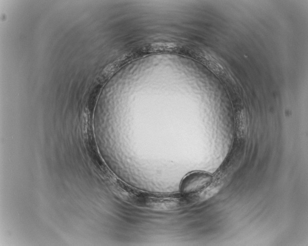 X0000057100463200510071941