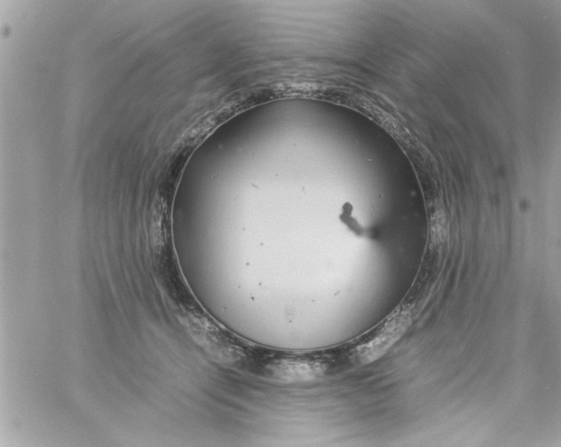 X0000057100464200510071941