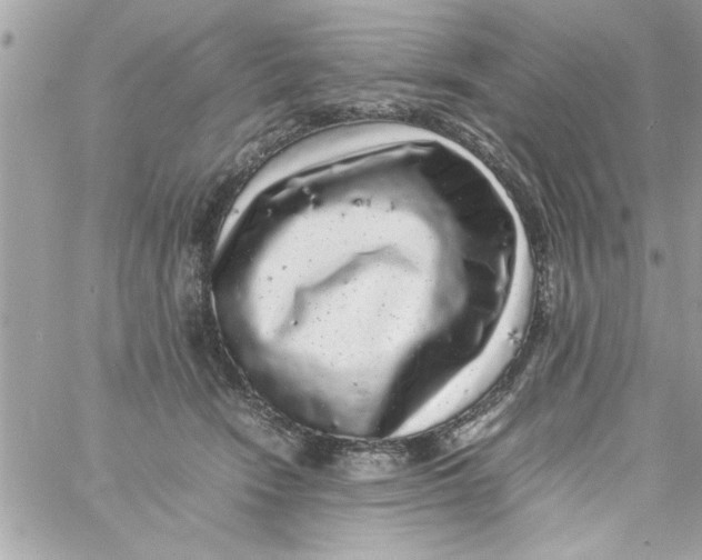 X0000057100466200510071941