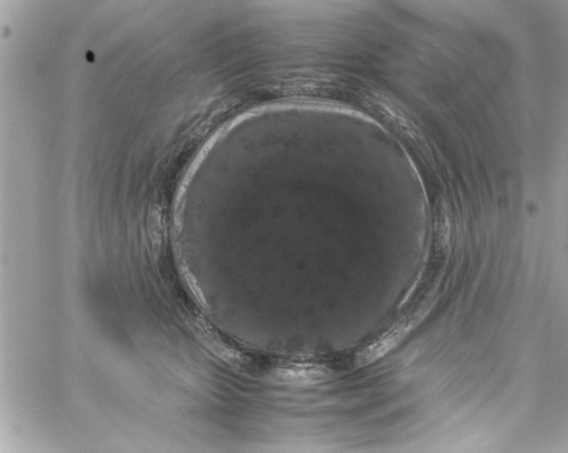 X0000057100467200510071941