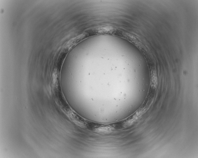 X0000057100468200510071942