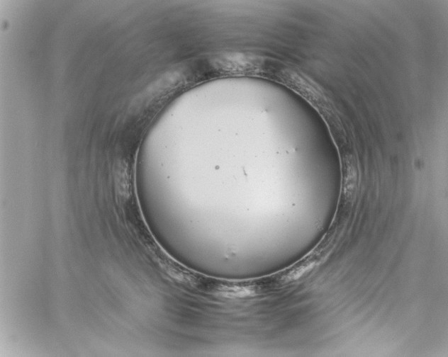 X0000057100469200510071942