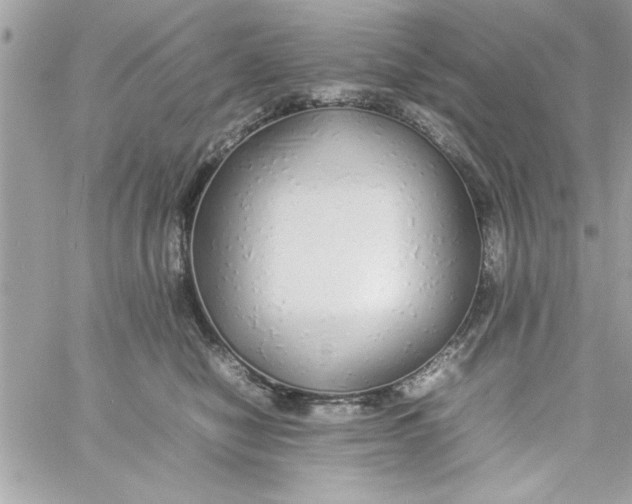 X0000057100470200510071942