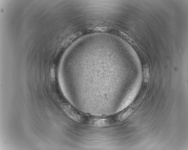 X0000057100472200510071942