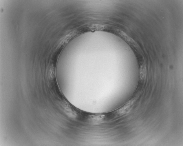 X0000057100474200510071942