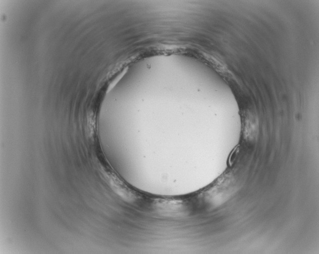 X0000057100476200510071942