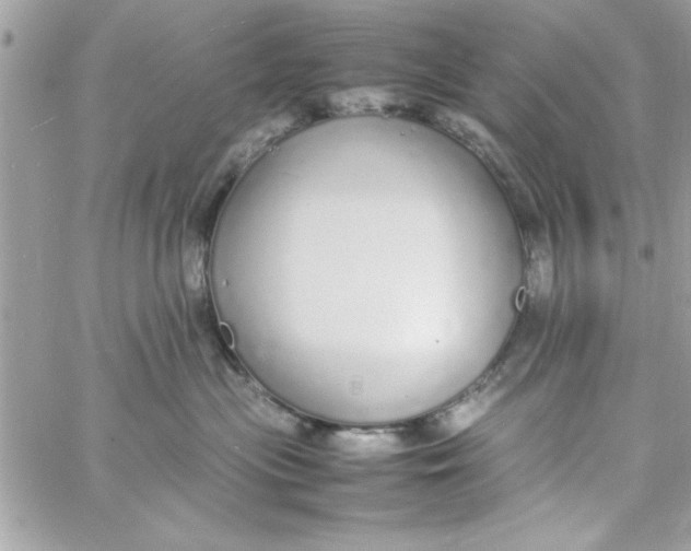 X0000057100477200510071942