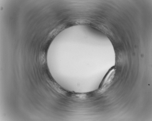 X0000057100478200510071942