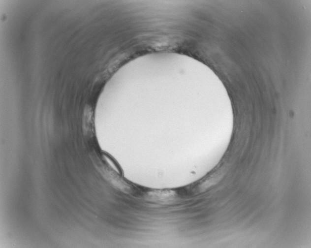 X0000057100480200510071942