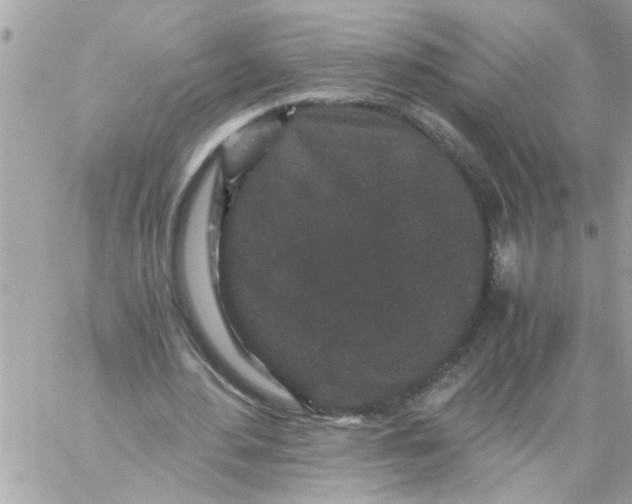 X0000057100484200510071941