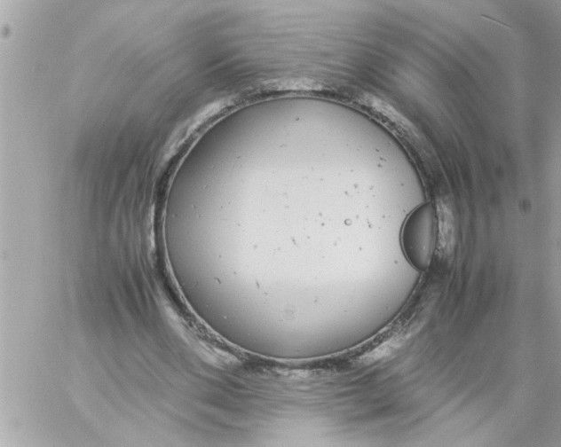 X0000057100486200510071941