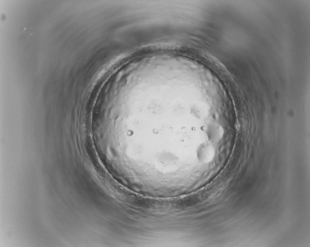 X0000057100487200510071941