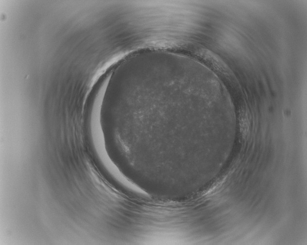 X0000057100488200510071941