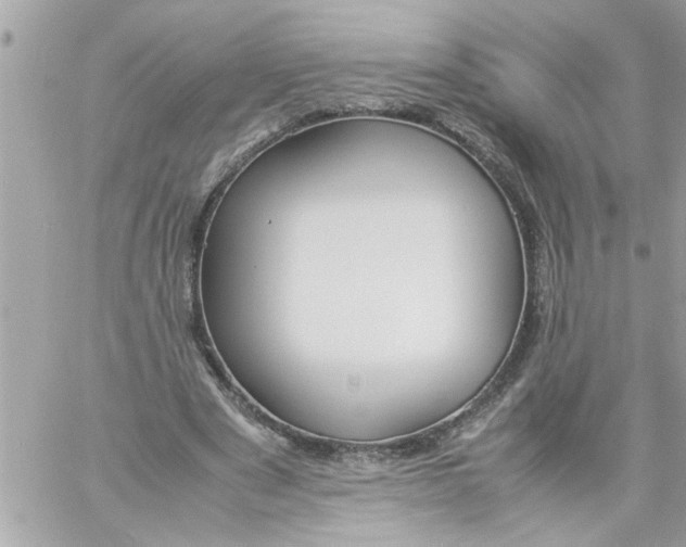 X0000057100489200510071941