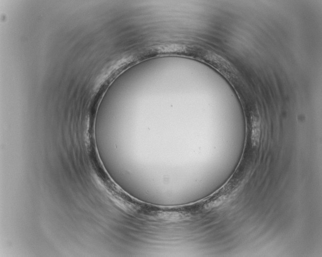 X0000057100490200510071941