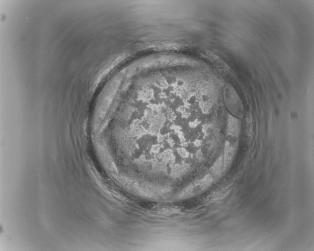 X0000057100491200510071941