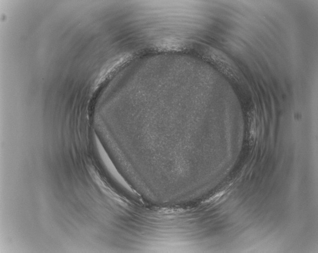 X0000057100494200510071941