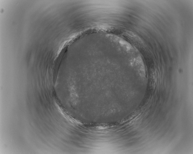 X0000057100496200510071941