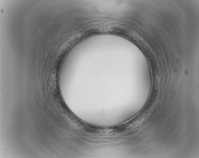 X0000057100497200510071941