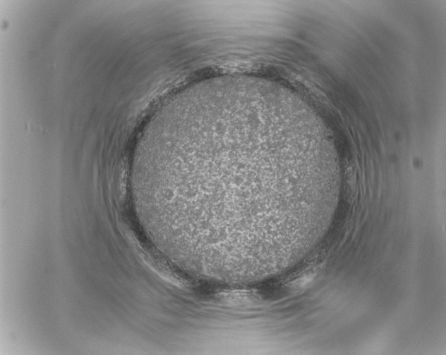 X0000057100499200510071941