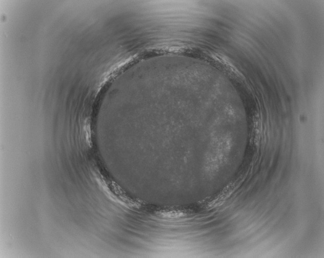 X0000057100500200510071941