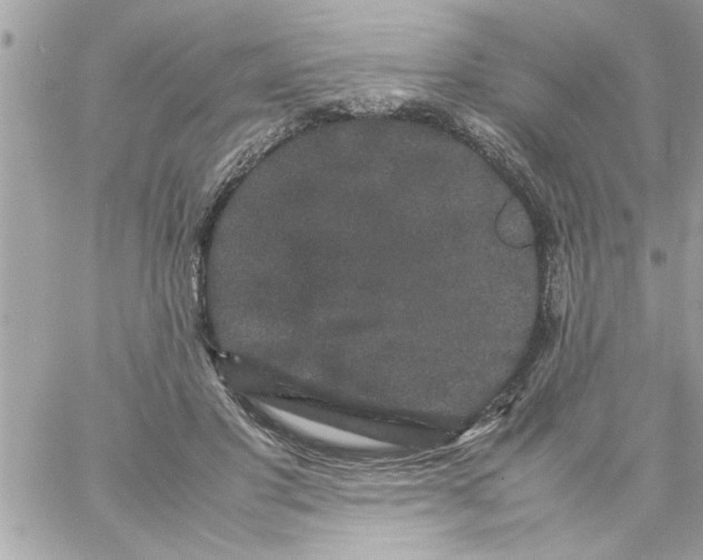 X0000057100501200510071941