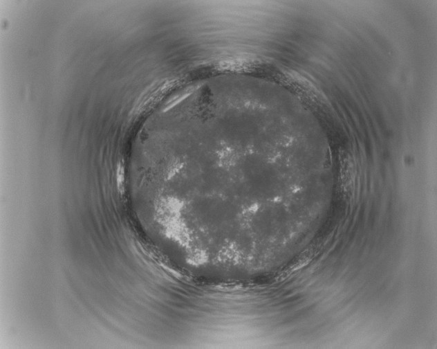 X0000057100502200510071941