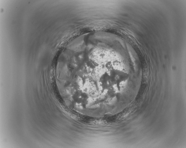 X0000057100503200510071941